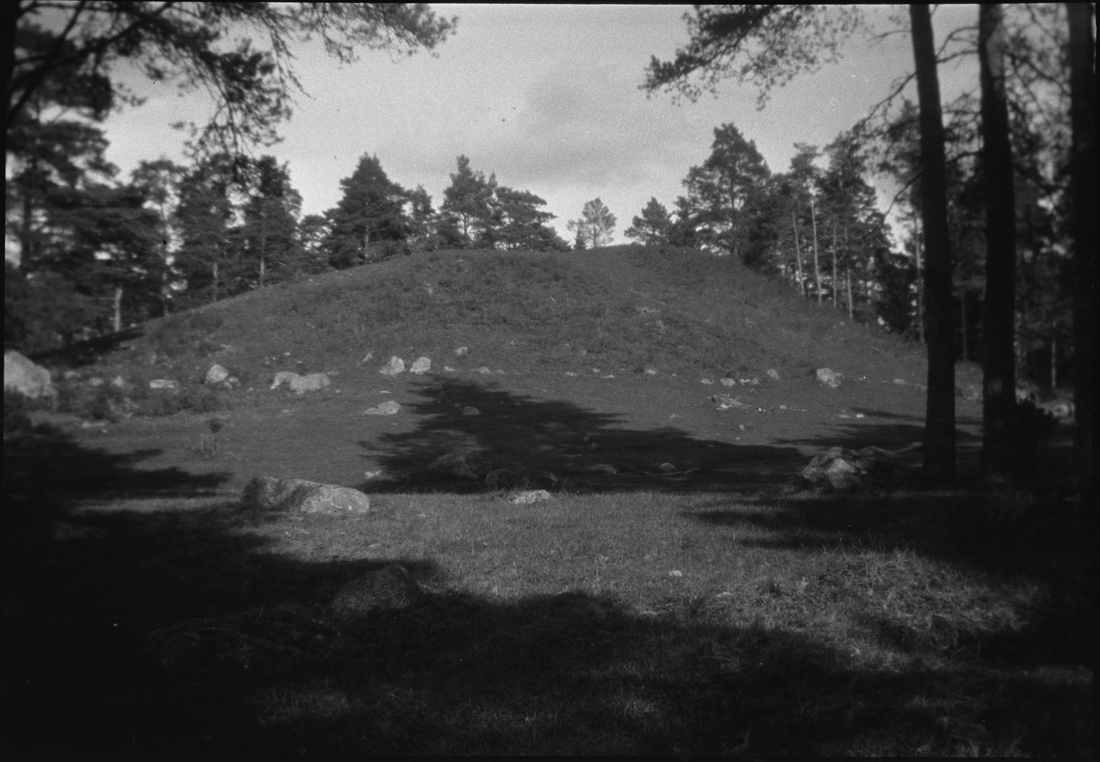 Berit Wallenberg, Håga