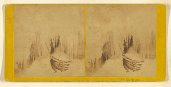 Benjamin West Kilburn, Trout.