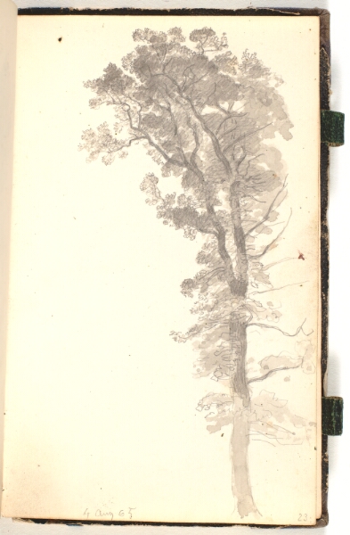 P.C. Skovgaard, Et stort træ