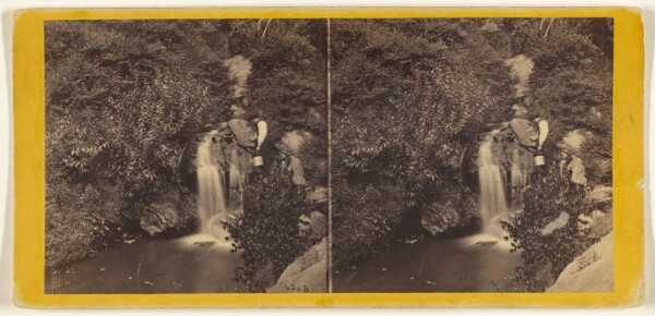Edward and Henry T. Anthony & Co., Central Park. (New York.) Drip Rock in the Ramble.