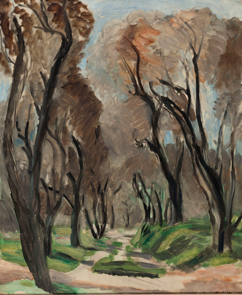 Henri Matisse, Allée d'oliviers
