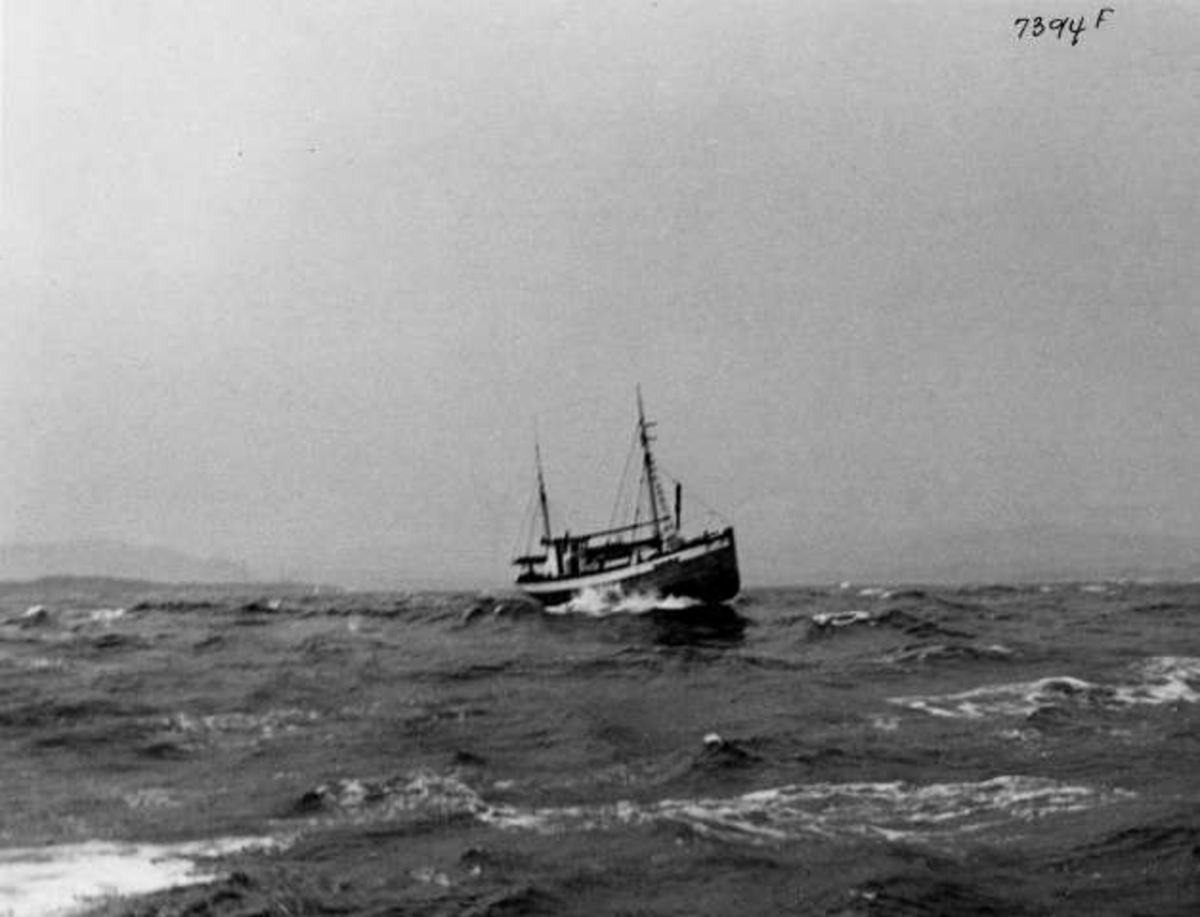 Anders Beer Wilse, -7314