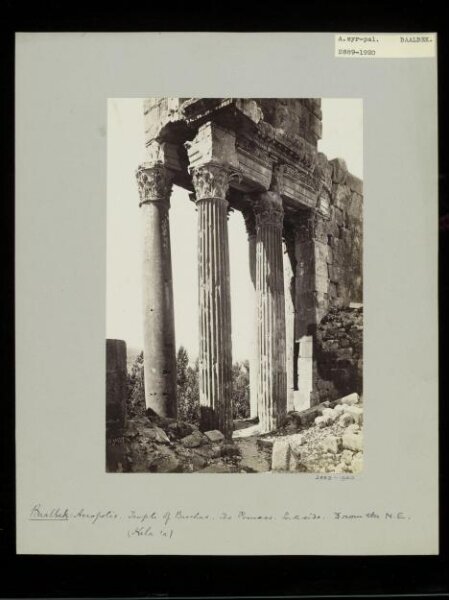 anonymous, Photograph
