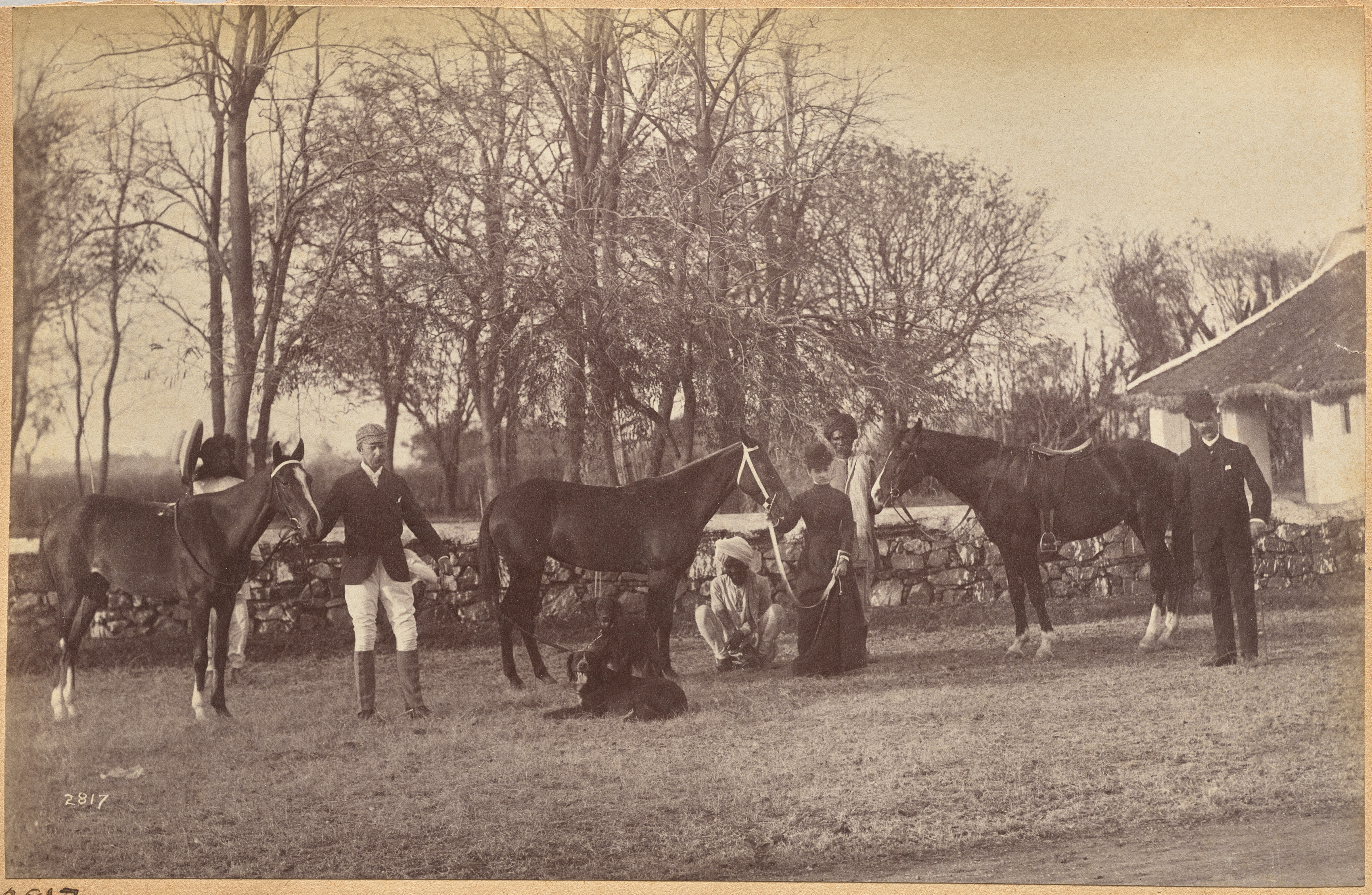 Raja Deen Dayal, Captain Brown's horses, Jhansi (recto, top)
