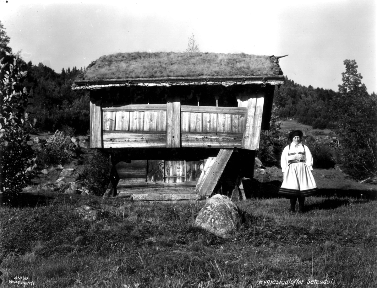 Anders Beer Wilse, Valle 1, Rygnestad