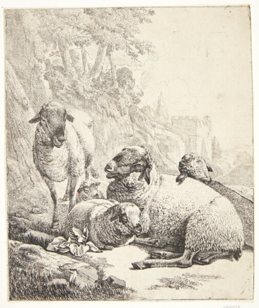 Johann Heinrich Roos, Et stående og fire liggende får