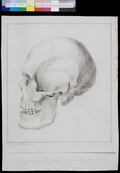 Poster, H.J, (active, Skull of a Russina woman