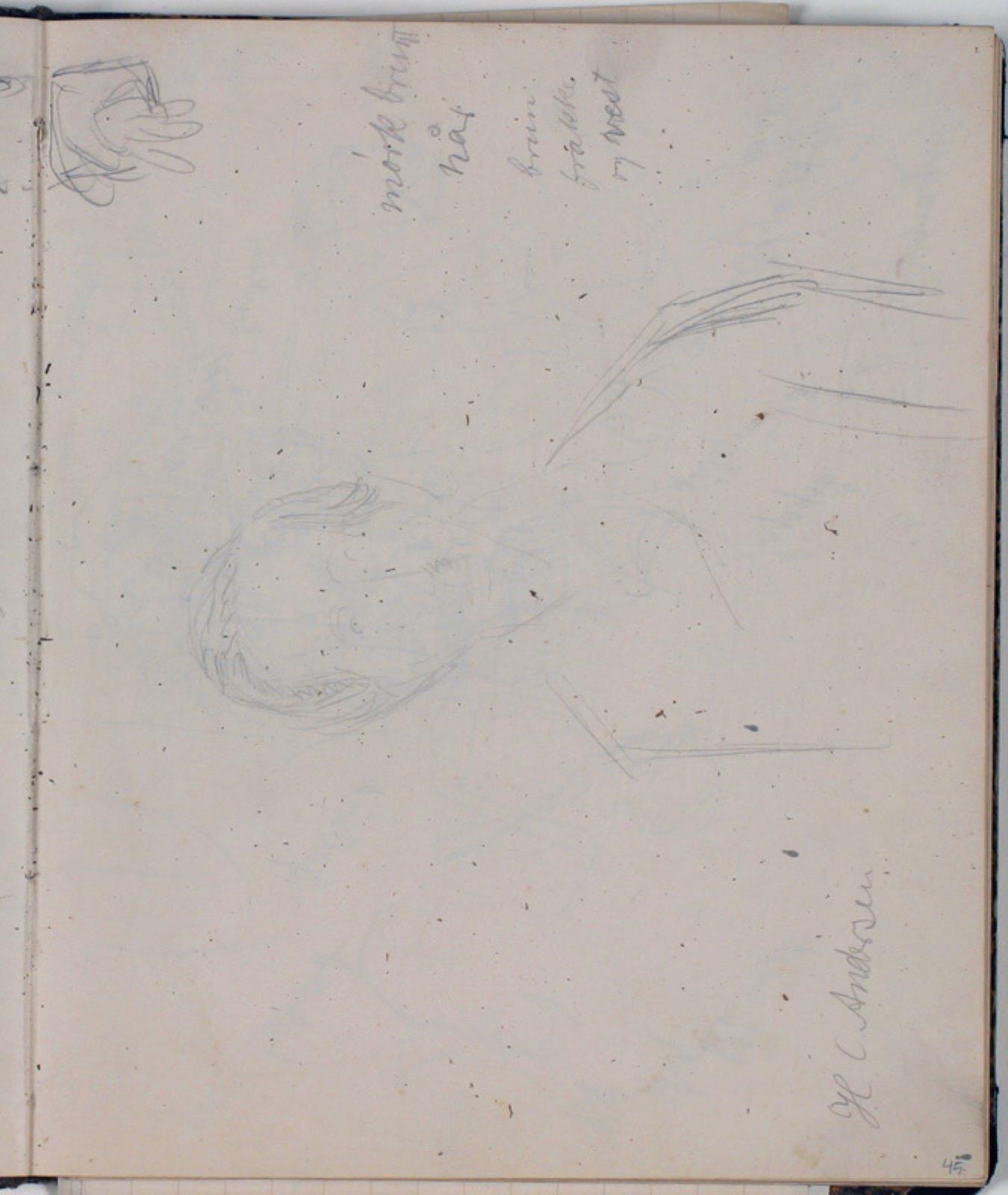 Niels Larsen Stevns, Studie af H. C. Andersen efter maleri. Farveangivelser