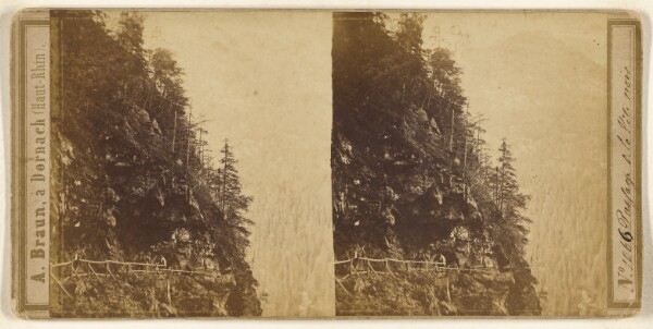 Adolphe Braun, Passage de la Tete noir