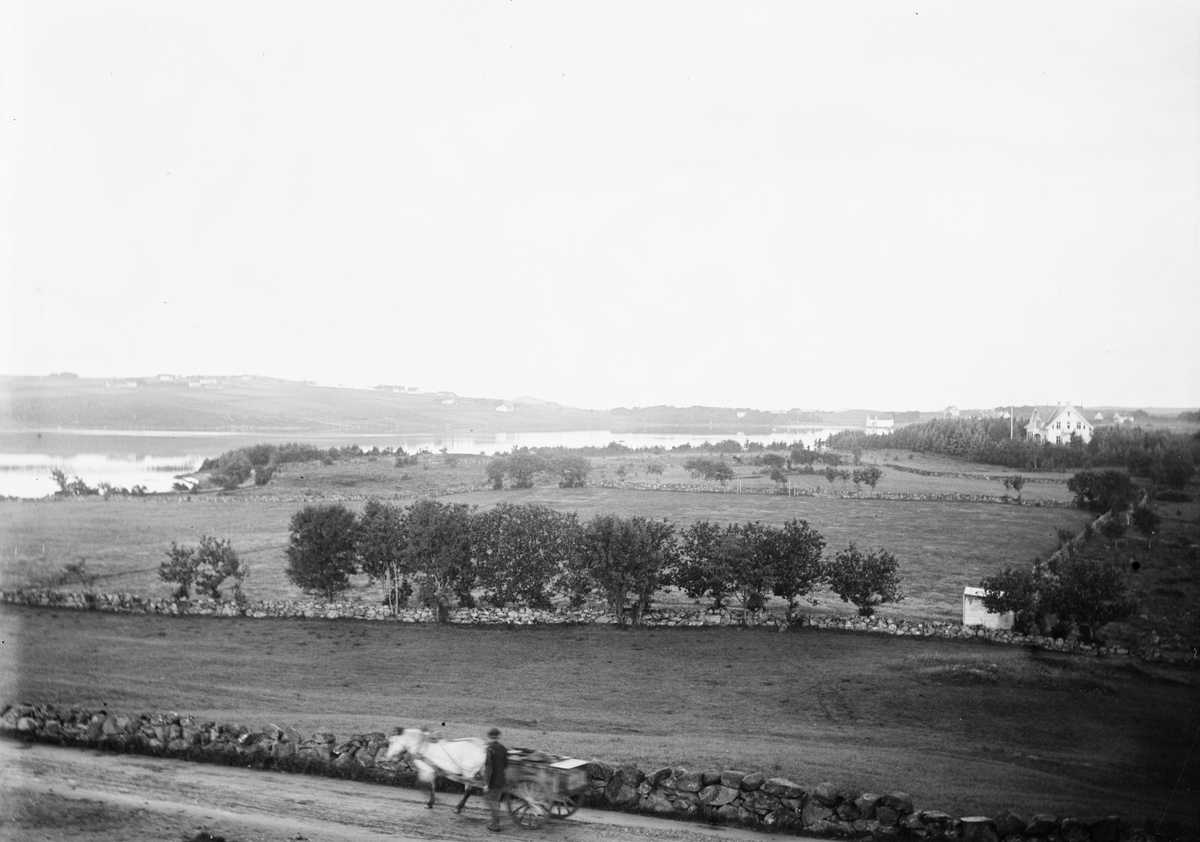 Okänd,, View of landscapes by fjord, in the foreground one was walking with fjord horse by carriage, possibly Christiane Liljefors’s parental home “Grönvold” to the right in picture, probably Norway