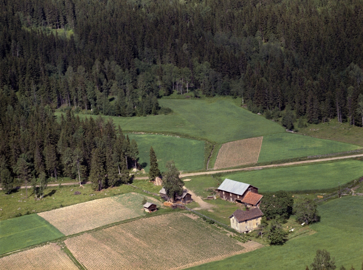 Widerøes Flyveselskap A/S, FLYFOTO SKOGEN