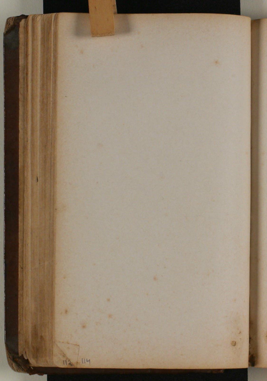Niels Larsen Stevns, Blank