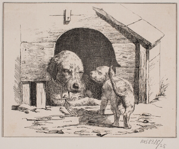 Adolph Kittendorff, Hundehvalpen