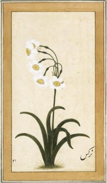 Unknown, Painting