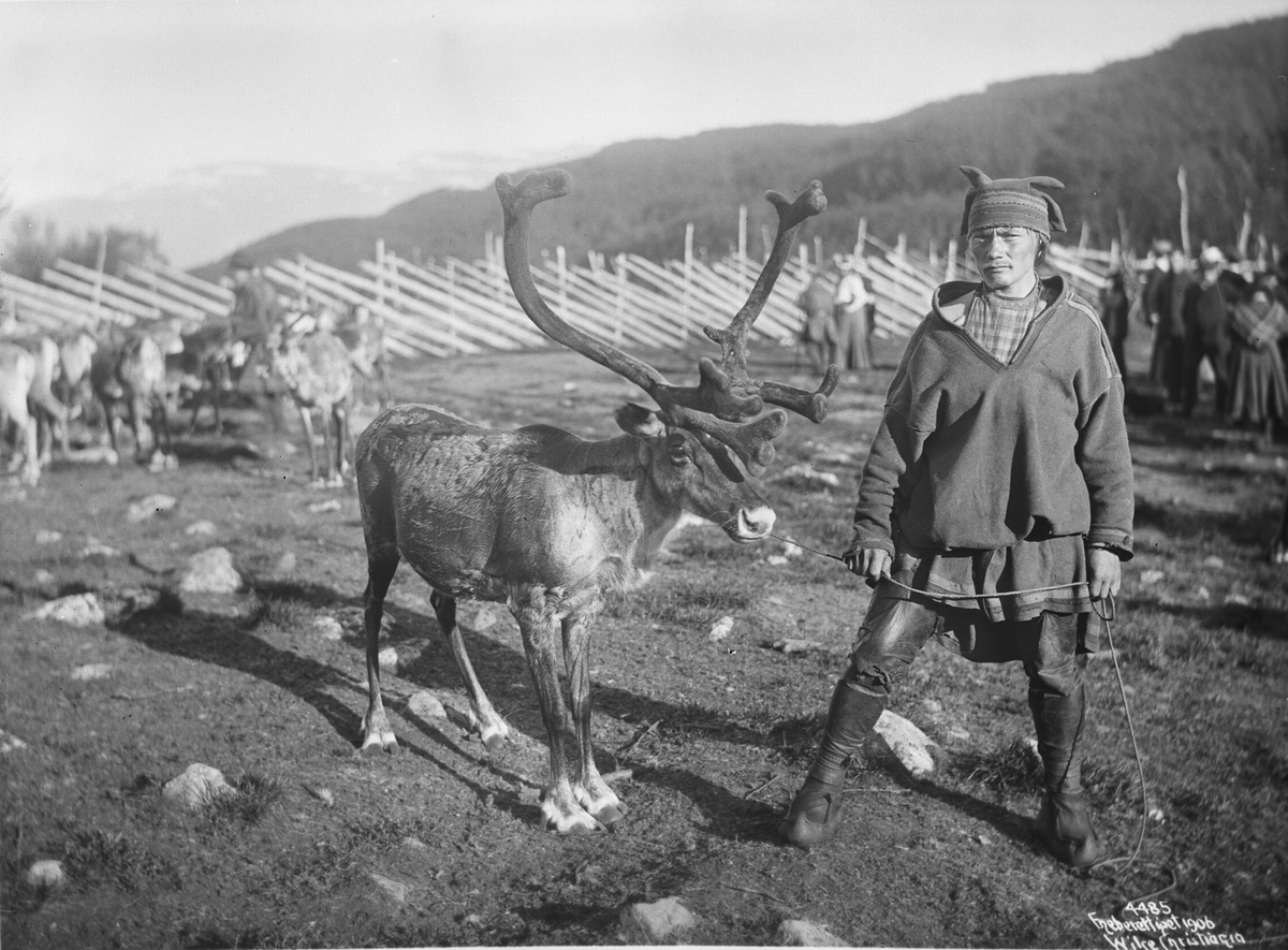 Anders Beer Wilse, Prot: Lapper - 1 Lapp med Ren 13/7 1906