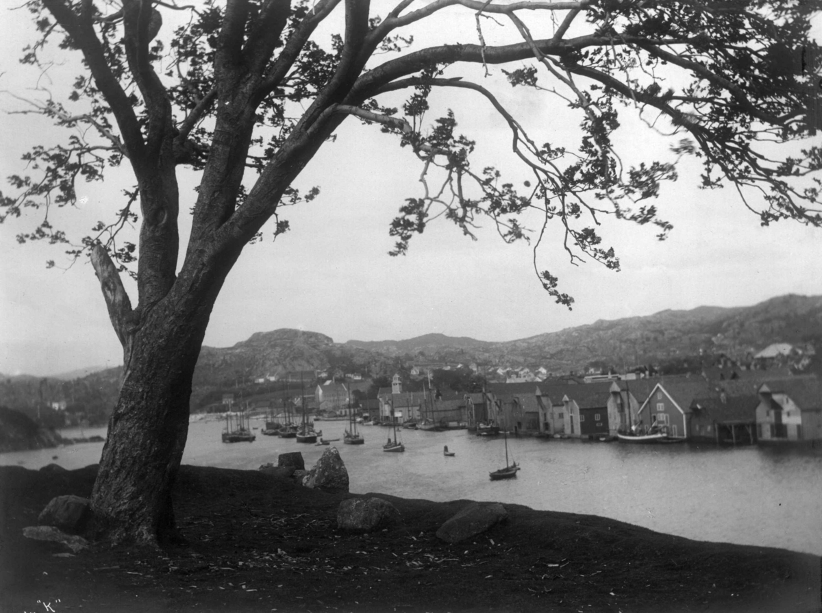 Anders Beer Wilse, Bjerkreim / Eigersund