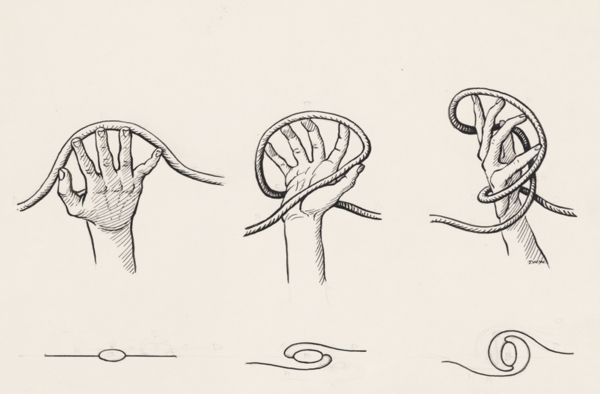 J Wetselaar-Whittaker, Intestine wrapped around a hand in three ways