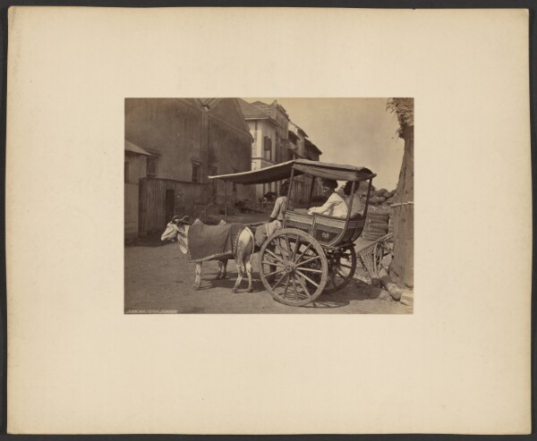 Francis Frith, Hackerry, Bombay