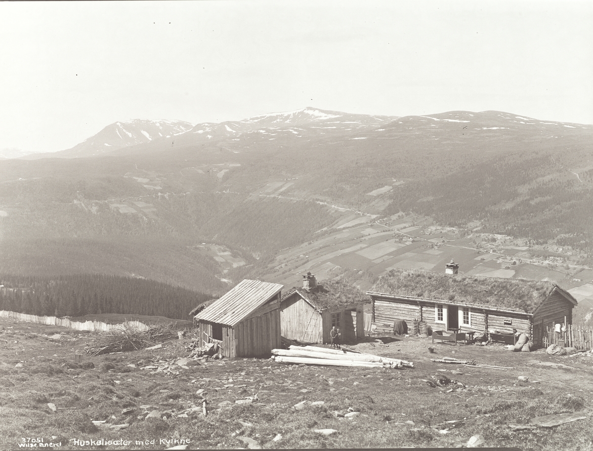 Anders Beer Wilse, Prot: Huskeliæter med Hedalsmuen