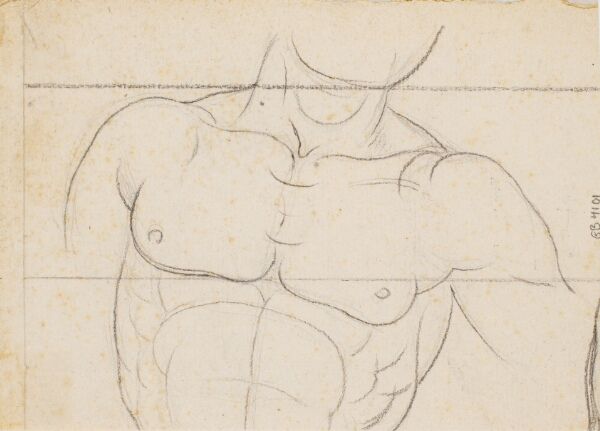 Nicolai Abildgaard, Studie af en mandetorso