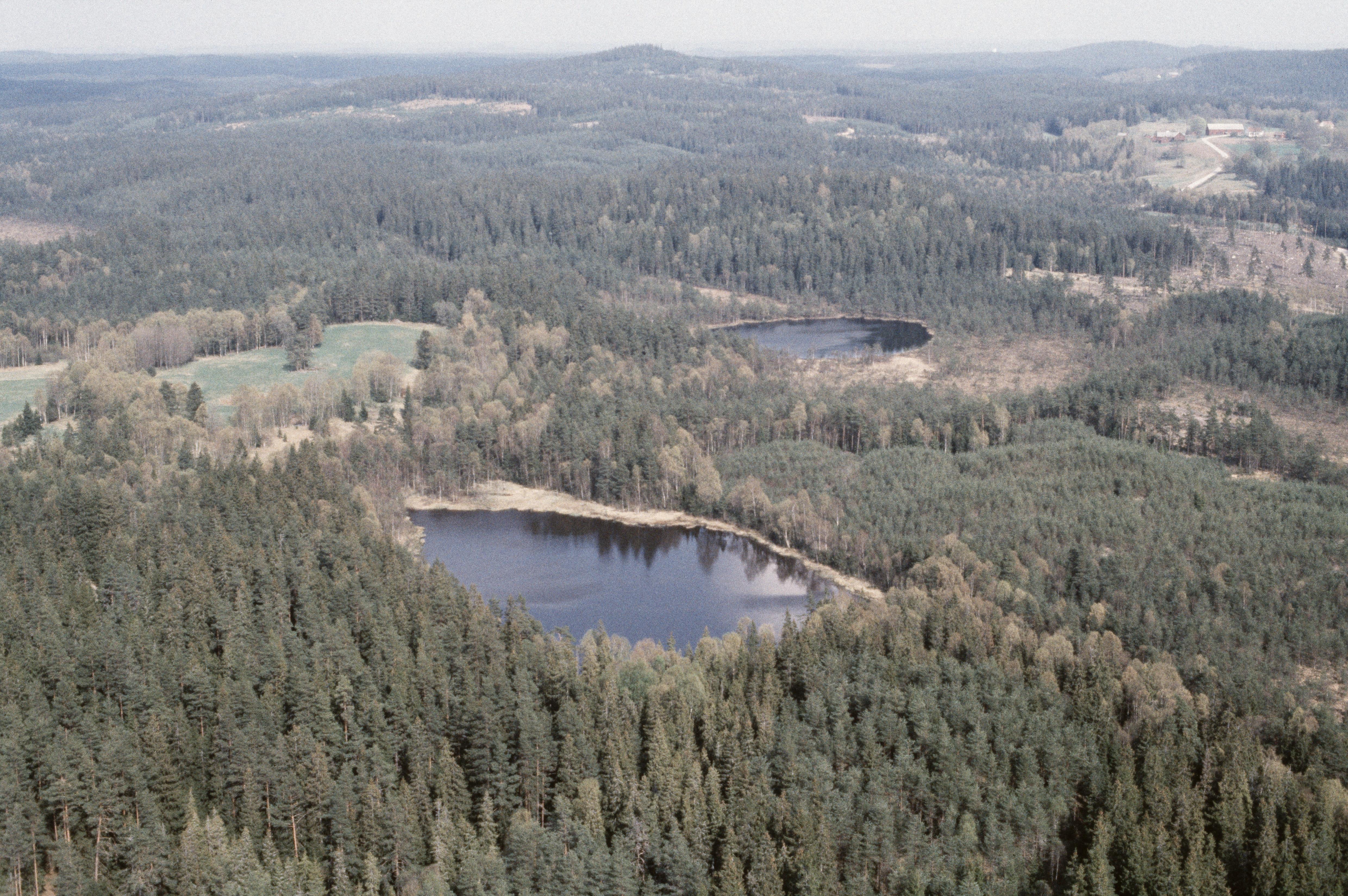 Jan Norrman, Tranemo 303:1