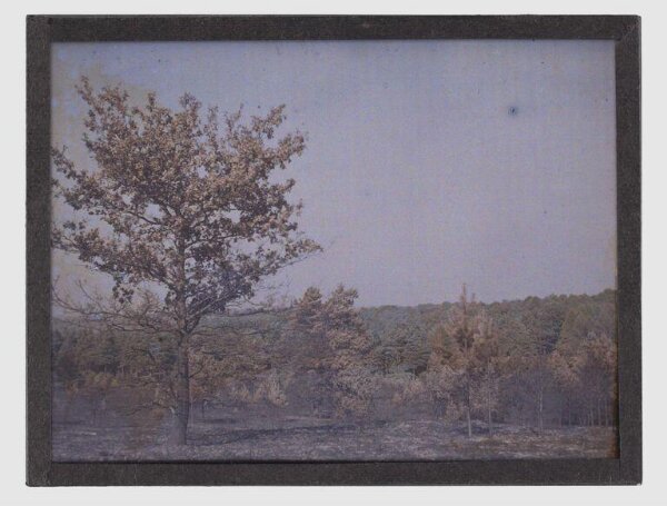 Unknown, Landscape study