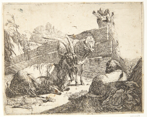 Johann Heinrich Roos, Liggende ged og to får ved et raftehegn