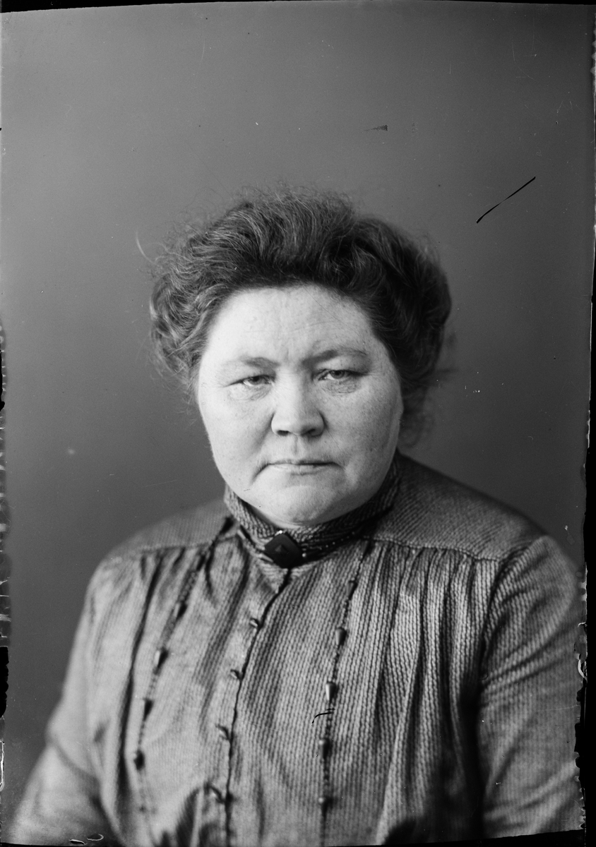 Skötsner-Edhlund, Ateljé Portrait - Brita Edhlund, Östhammar, Uppland