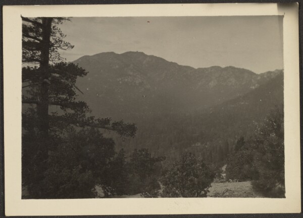 Louis Fleckenstein, [Marion Mountain, Idyllwild]