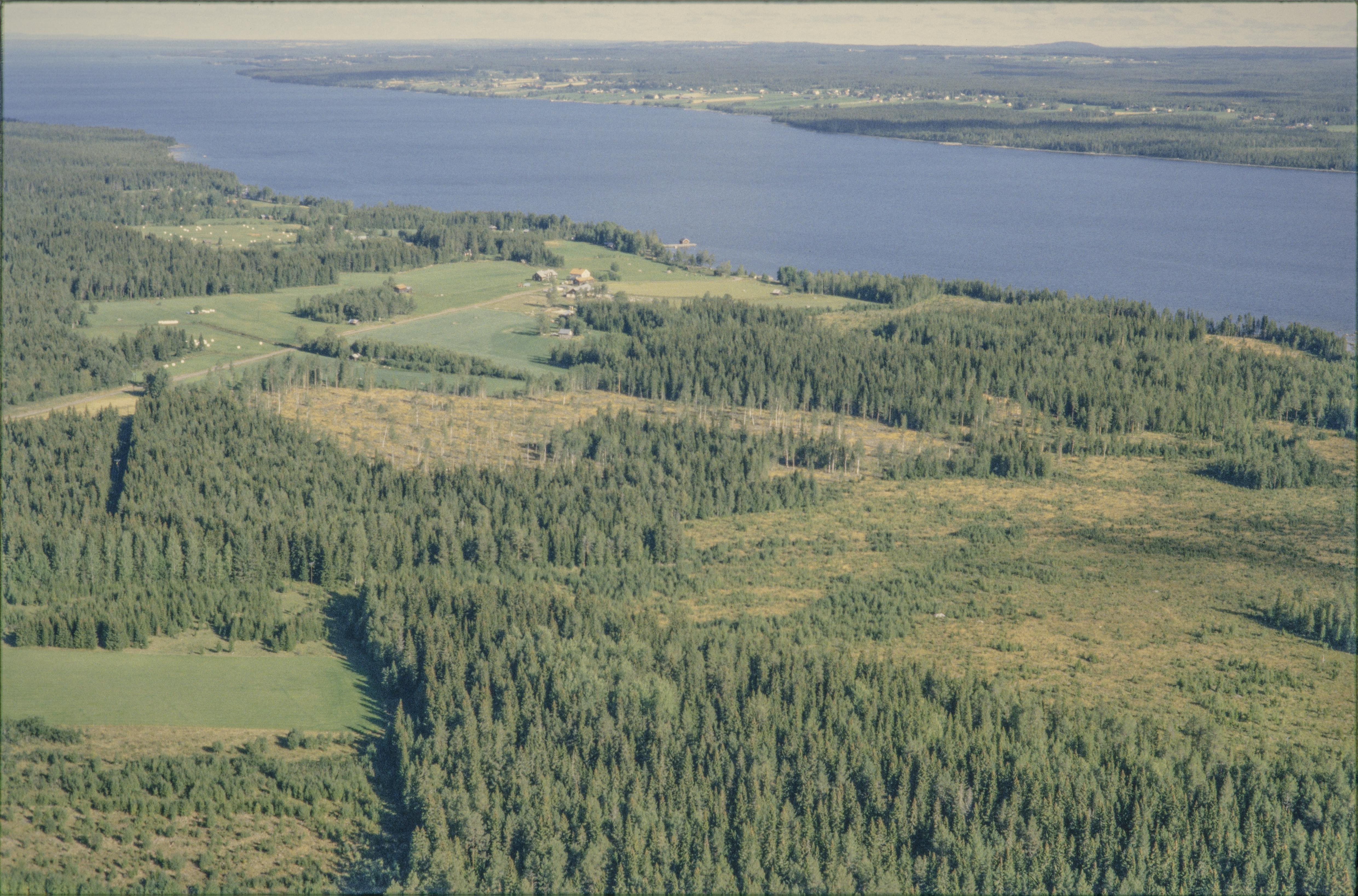 Jan Norrman, Oviken 565