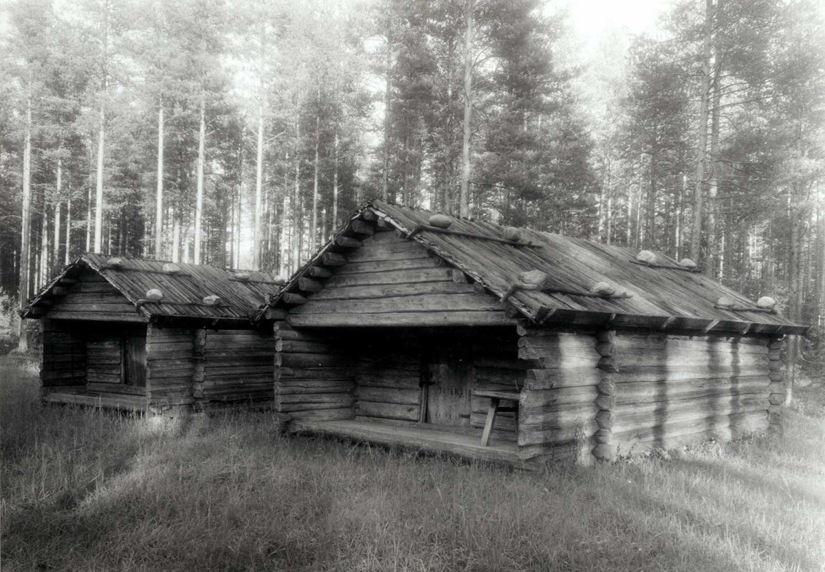 Gisle Midttun, Rundhaugen, Grue, Hedmark. Buer med stein på taket, sett fra framsiden. Nå på Glomdalsmuseet, Finntorpet.