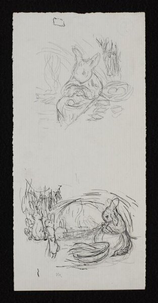 Potter, Beatrix, drawing