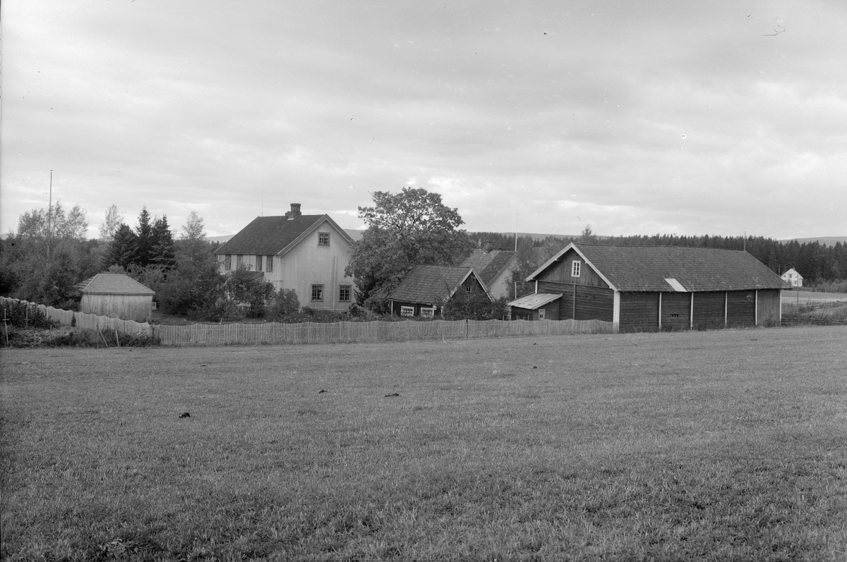 Anno Domkirkeodden, EKSTR: GARDSTUN, VENNERSLYST, LØTEN. Se Løtenboka, bind 1. Bygdeboka fra 1949, side 249