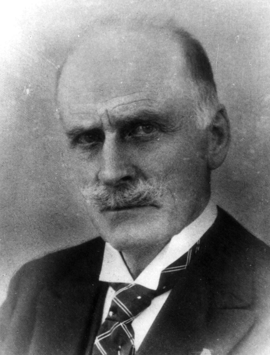 Anders Beer Wilse, Hamsun