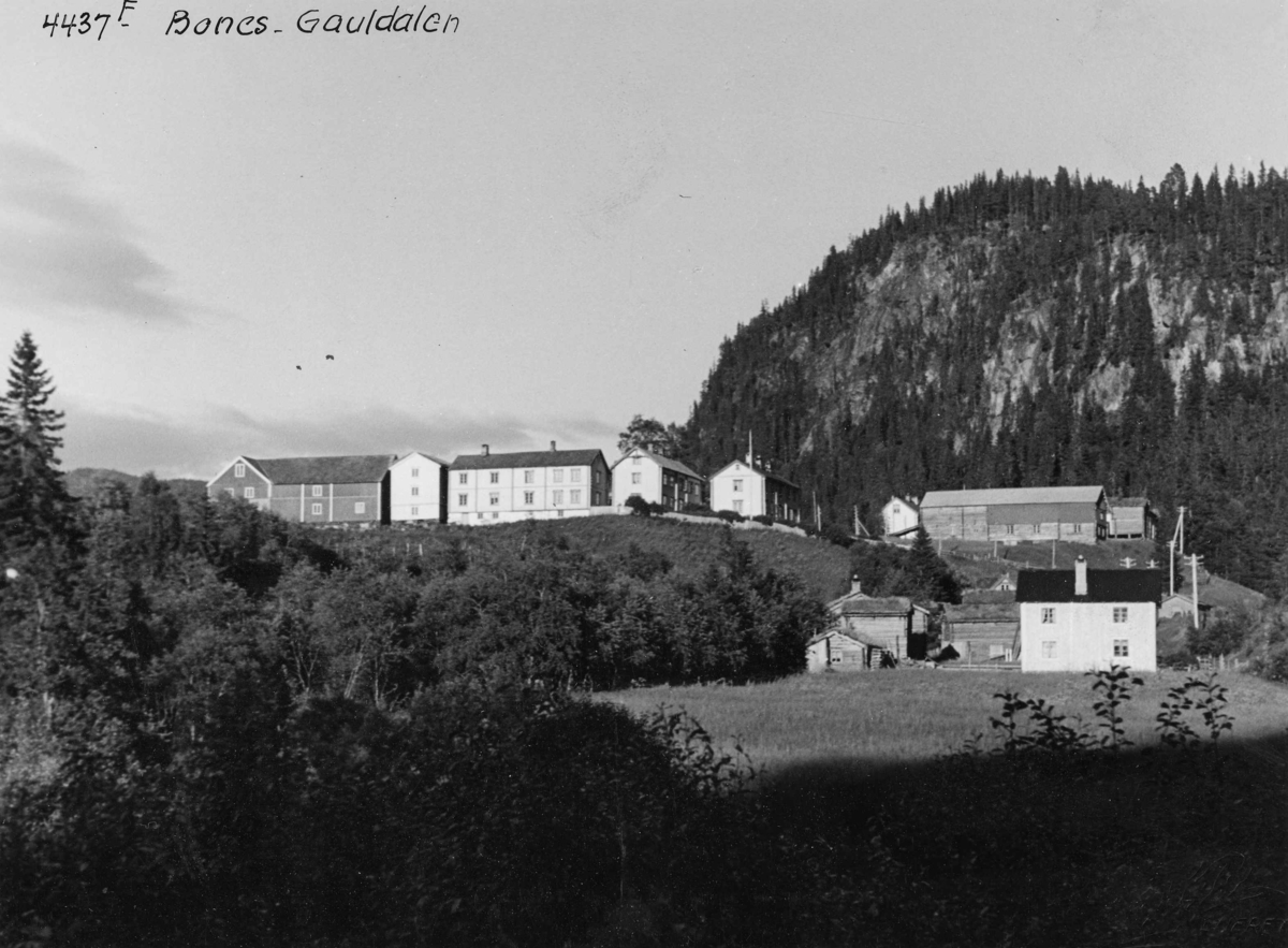 Anders Beer Wilse, Topografi