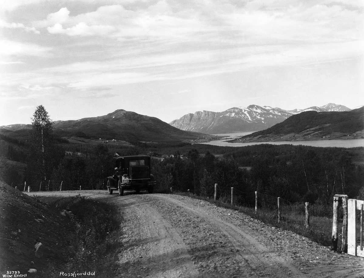 Anders Beer Wilse, Prot: Nordland - Rogsfjorddal