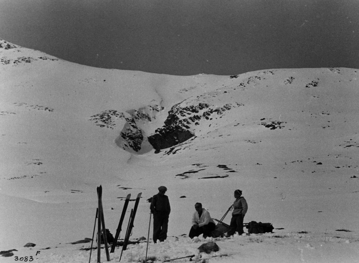 Anders Beer Wilse, Skiløpere i Jotunheimen med snødekte fjell.