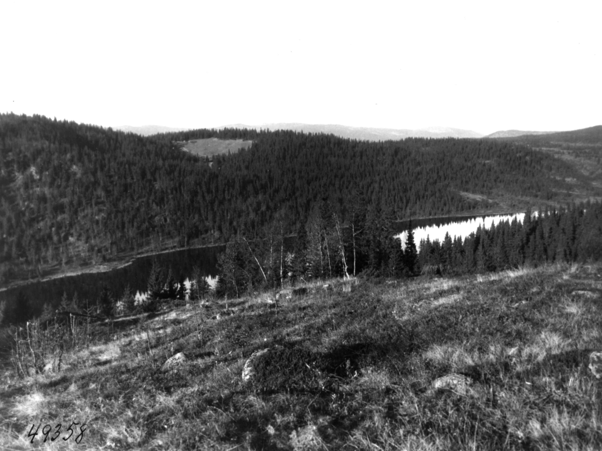 Anders Beer Wilse, Killinghusfjorden, Landskap
