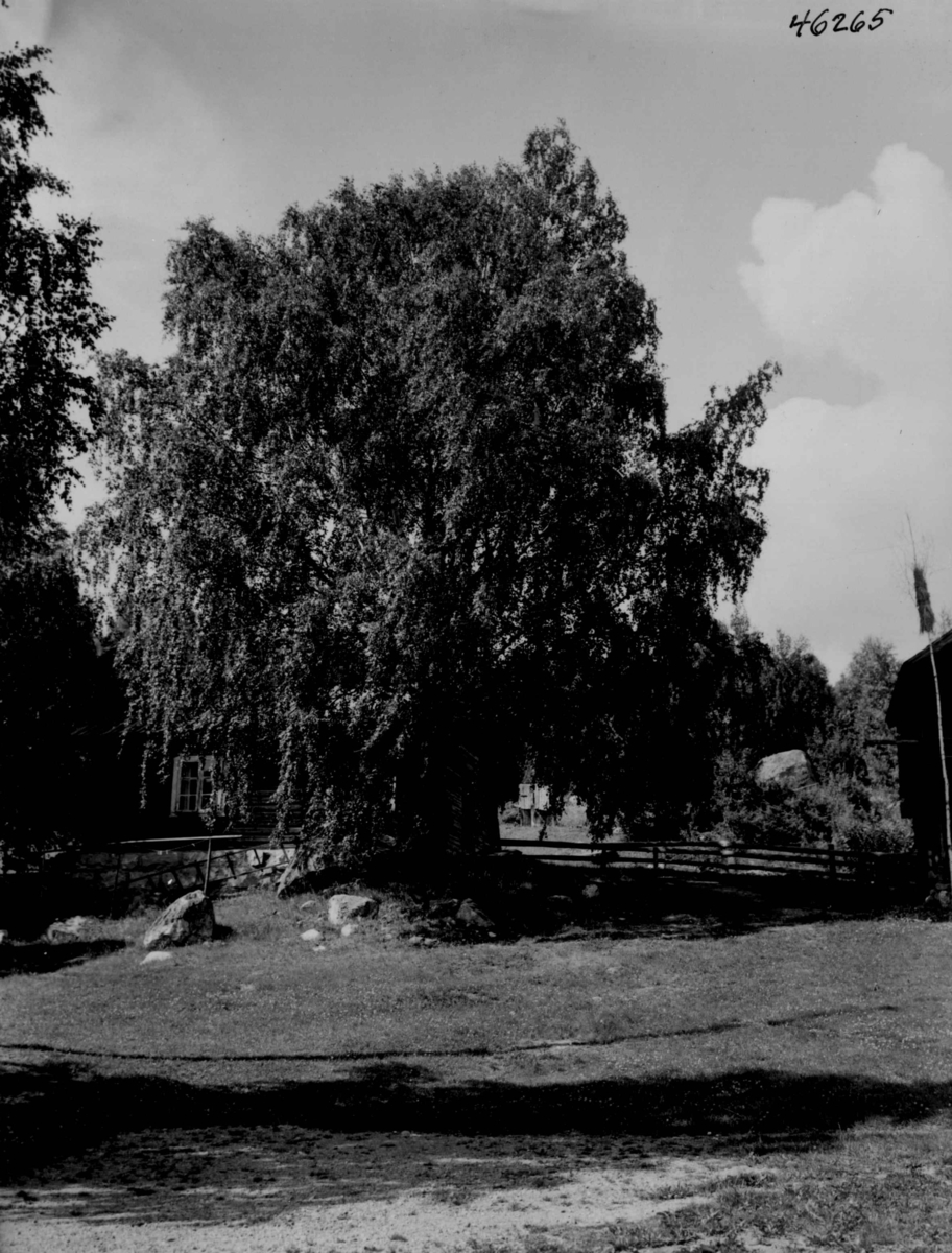 Anders Beer Wilse, Hasla gård.