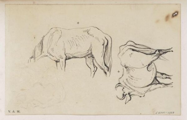 George Chinnery, Three drawings of a cow