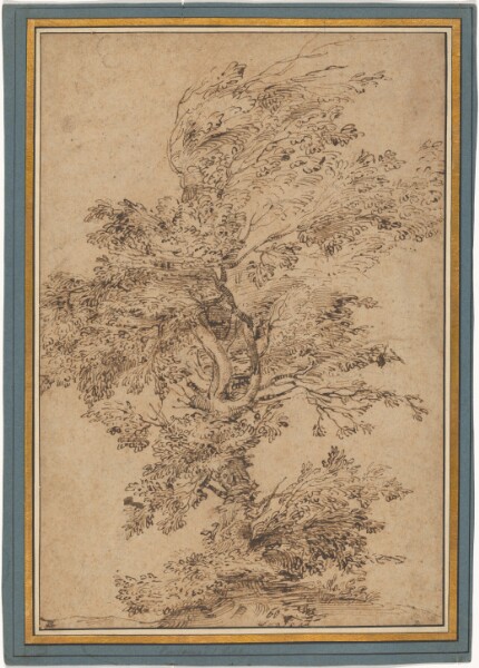Annibale Carracci, Study of a Tree