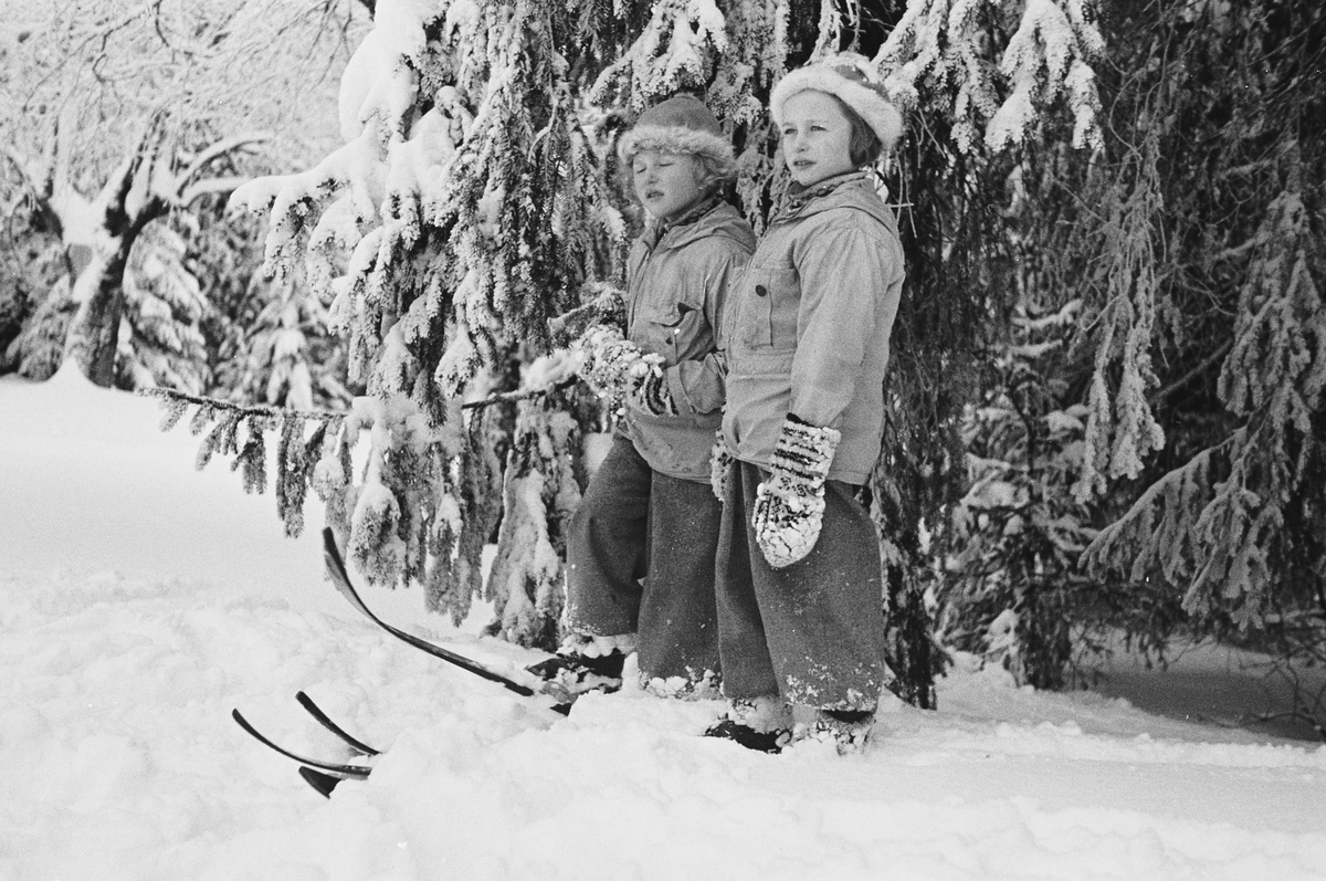 Anders Beer Wilse, Prot: Prinsessene