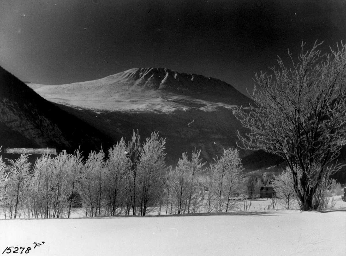 Anders Beer Wilse, Vinterlandskap med Gaustatoppen.