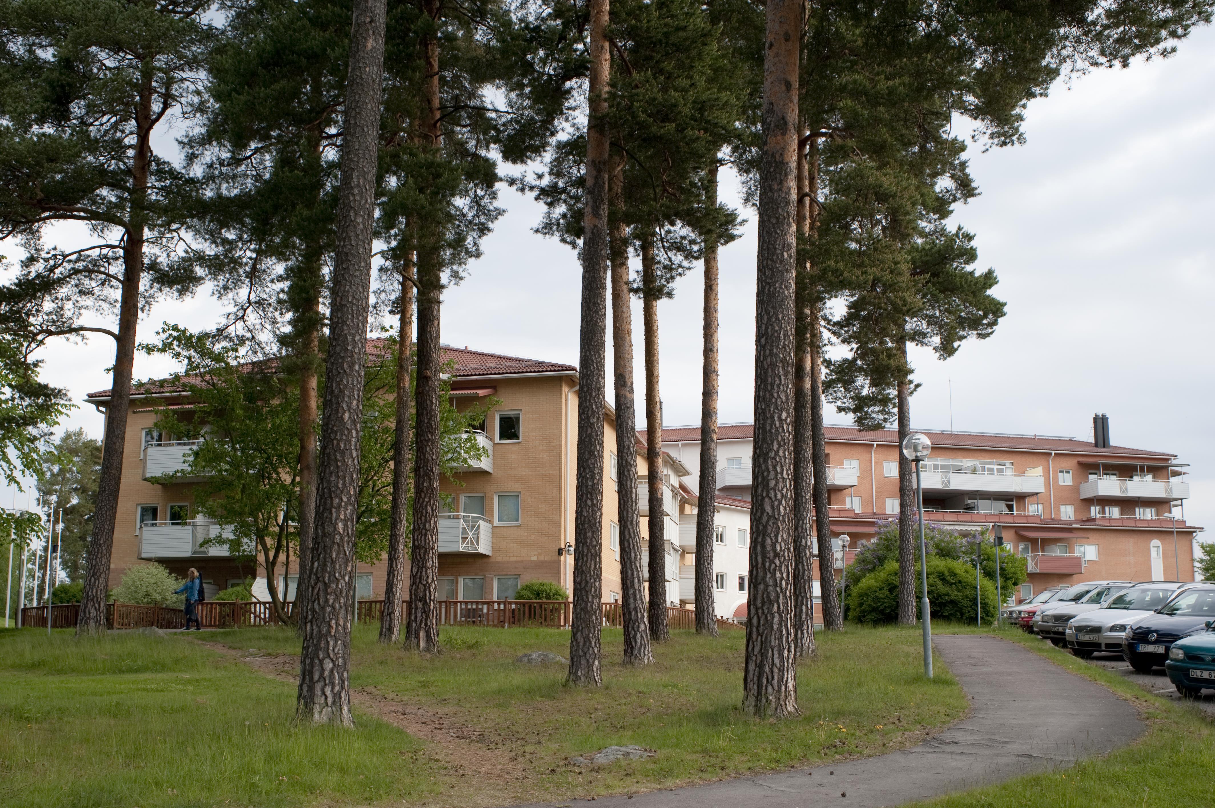 Bengt A Lundberg, Arvika