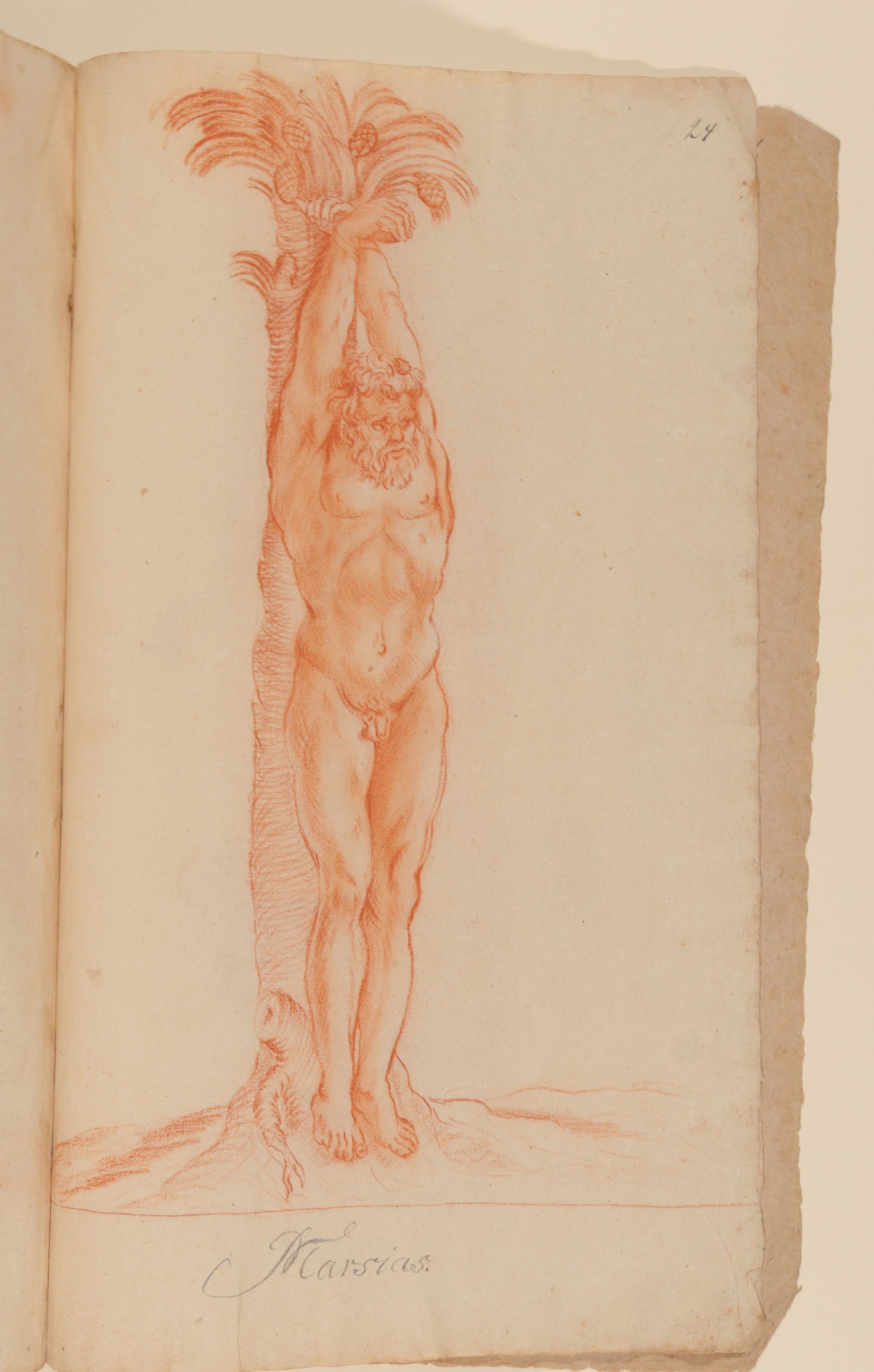 Francois Perrier (Maler), Marsyas [Detail aus Tafel 18 von François Perriers "Icones et Segmenta Nobilium Signorum et Statuarum..." (1638)]