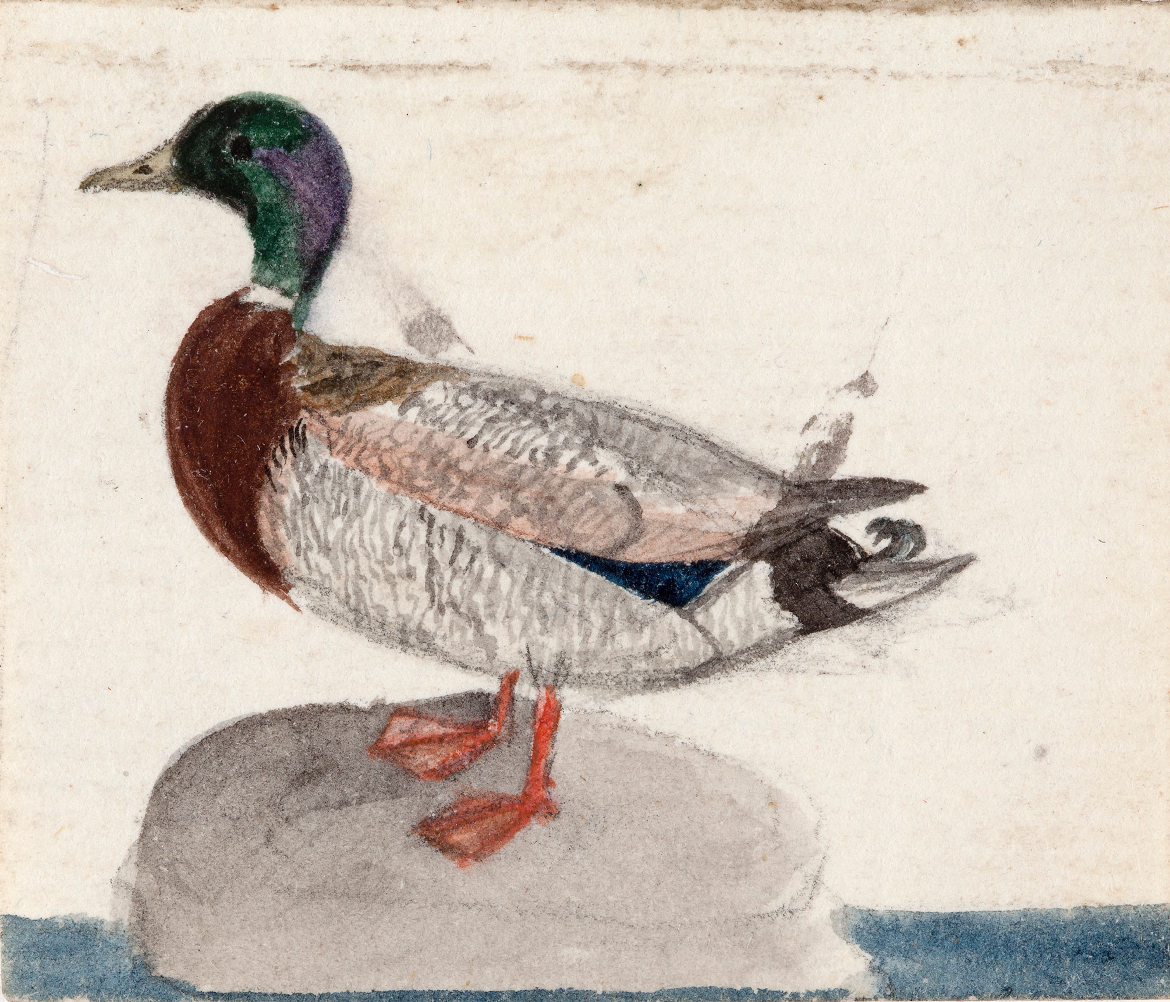 Ferdinand von Wright, Mallard