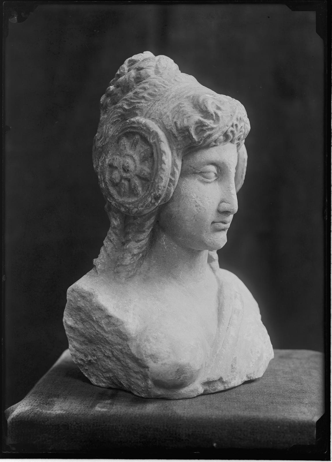 Desconegut, [Stone bust]