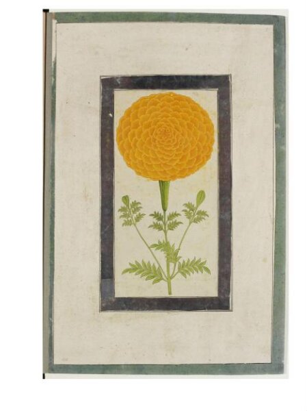 Unknown, Painting