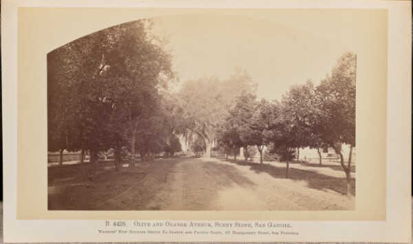 Carleton Watkins, Olive and Orange Avenue, Sunny Slope, San Gabriel