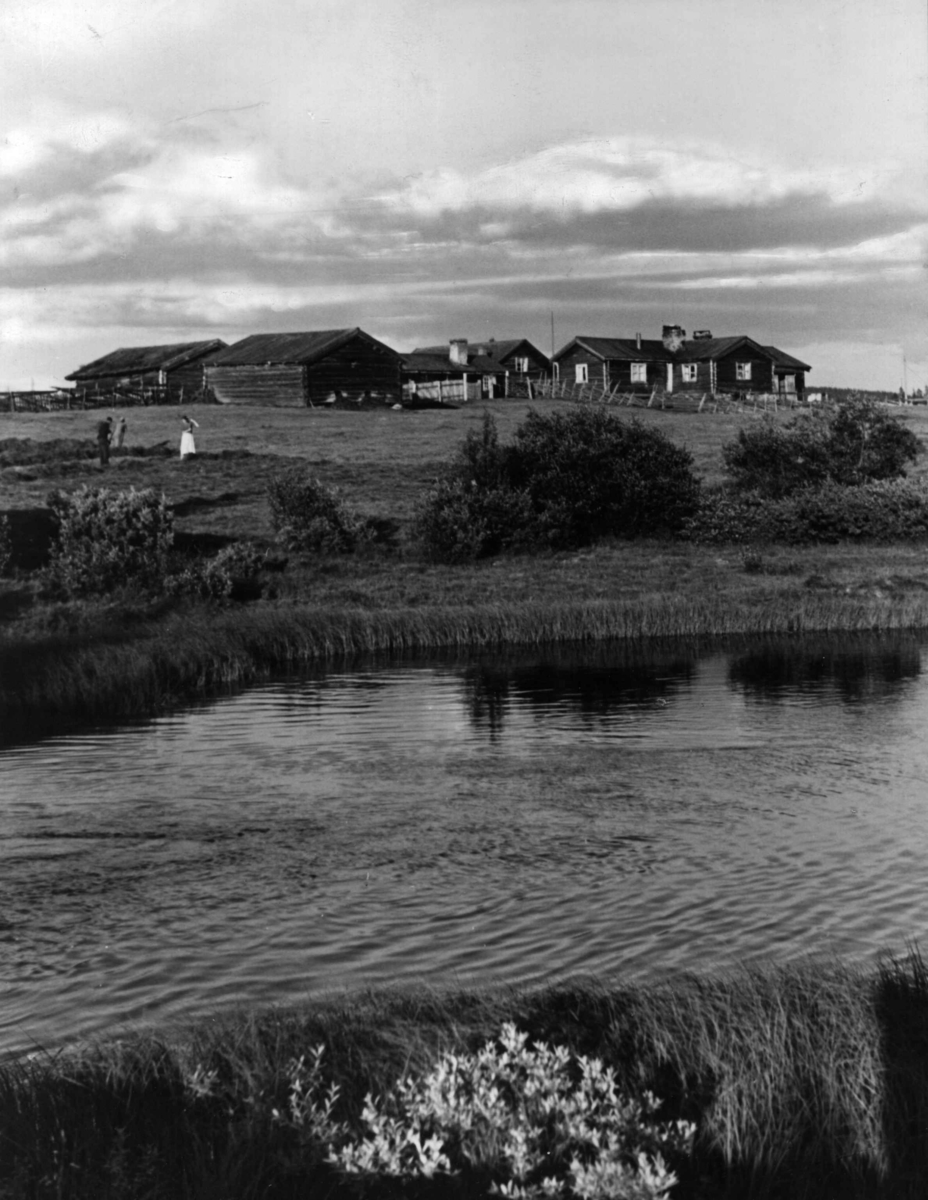 Anders Beer Wilse, Hirkjolen Landbruk